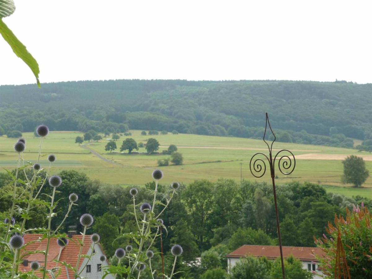 Ferienwohnung Stirnbergblick Ehrenberg  Dış mekan fotoğraf