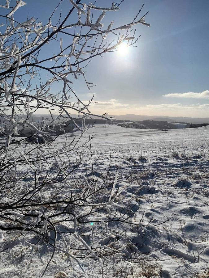 Ferienwohnung Stirnbergblick Ehrenberg  Dış mekan fotoğraf