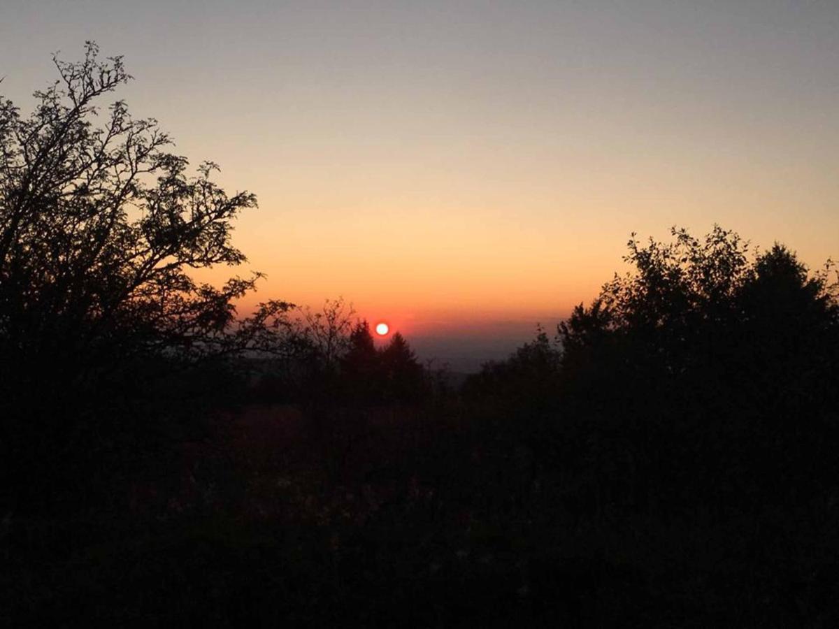 Ferienwohnung Stirnbergblick Ehrenberg  Dış mekan fotoğraf